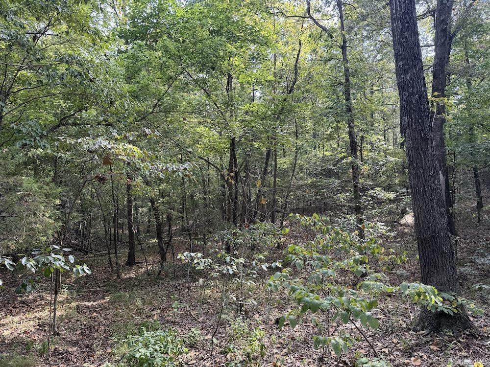 Photo 38 - Vacant Land for sale –   Pine Valley Road   Hardy, AR