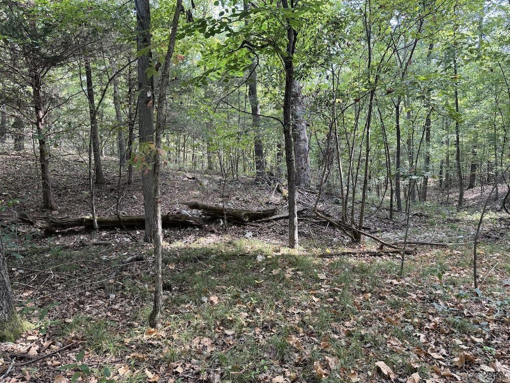 Photo 39 - Vacant Land for sale –   Pine Valley Road   Hardy, AR