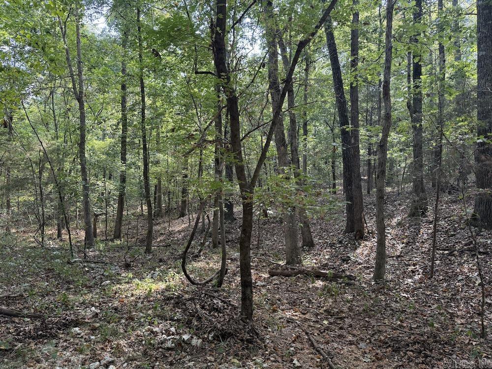 Photo 40 - Vacant Land for sale –   Pine Valley Road   Hardy, AR