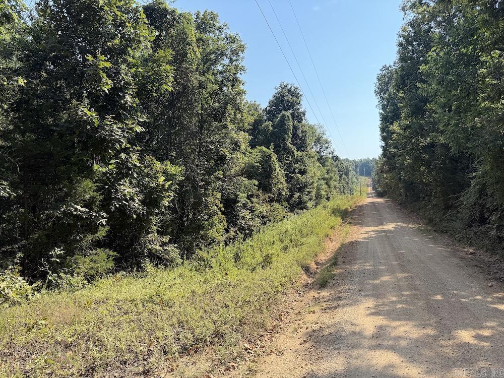 Photo 5 - Vacant Land for sale –   Pine Valley Road   Hardy, AR