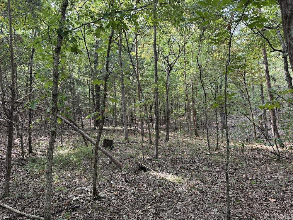 Photo 41 - Vacant Land for sale –   Pine Valley Road   Hardy, AR