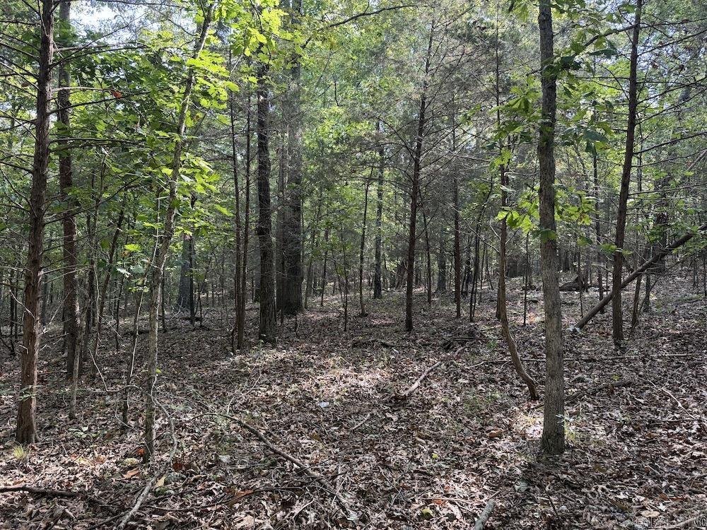 Photo 42 - Vacant Land for sale –   Pine Valley Road   Hardy, AR