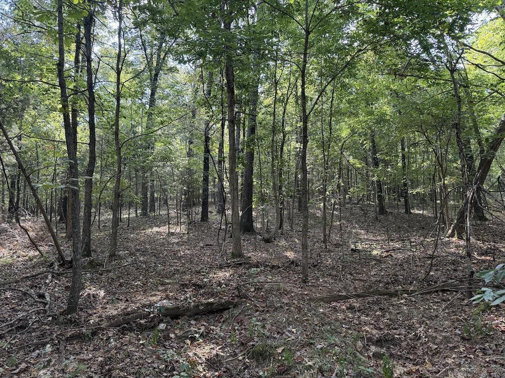 Photo 43 - Vacant Land for sale –   Pine Valley Road   Hardy, AR