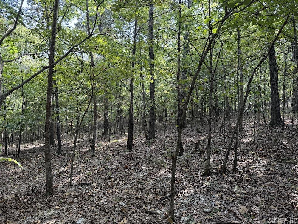 Photo 44 - Vacant Land for sale –   Pine Valley Road   Hardy, AR