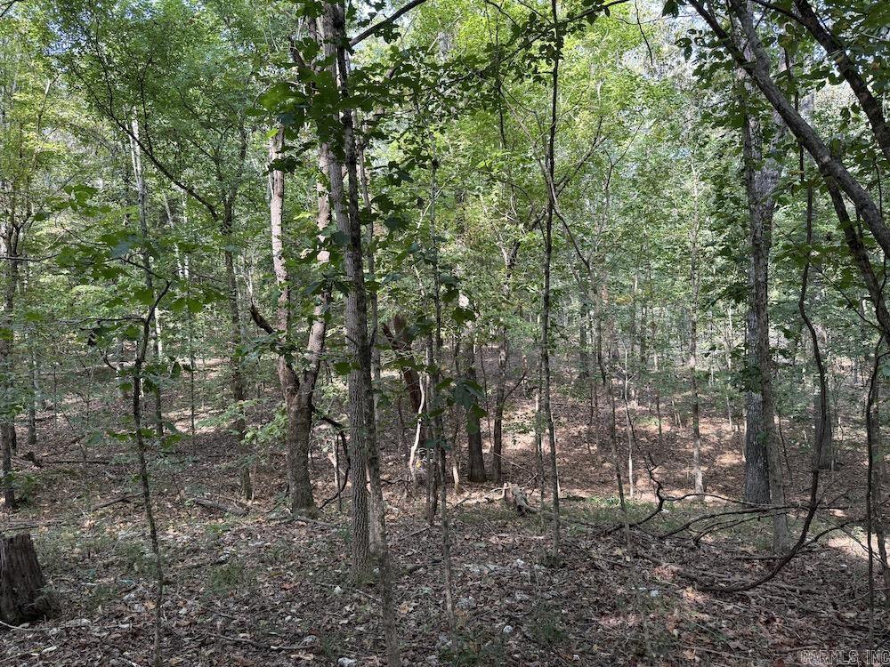 Photo 45 - Vacant Land for sale –   Pine Valley Road   Hardy, AR