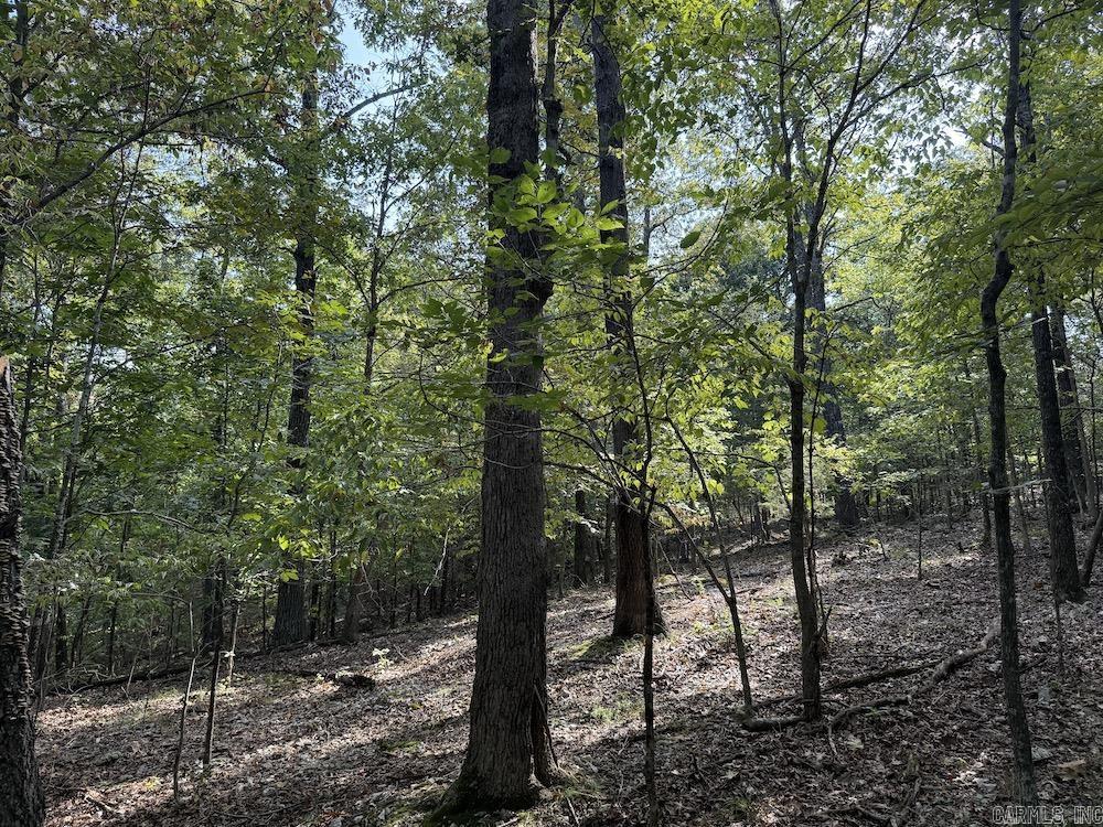 Photo 46 - Vacant Land for sale –   Pine Valley Road   Hardy, AR