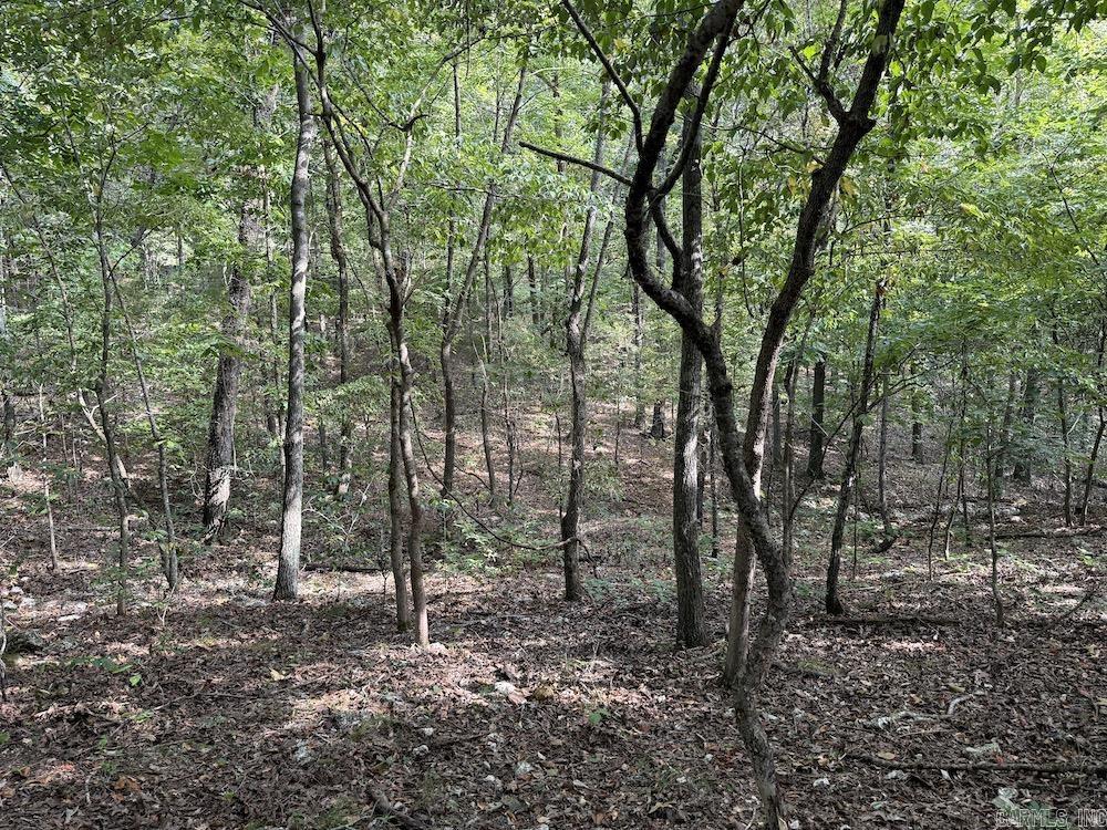 Photo 6 - Vacant Land for sale –   Pine Valley Road   Hardy, AR