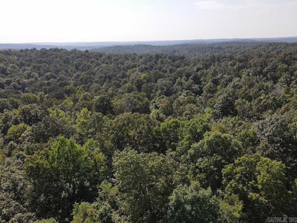Photo 10 - Vacant Land for sale –   Pine Valley Road   Hardy, AR