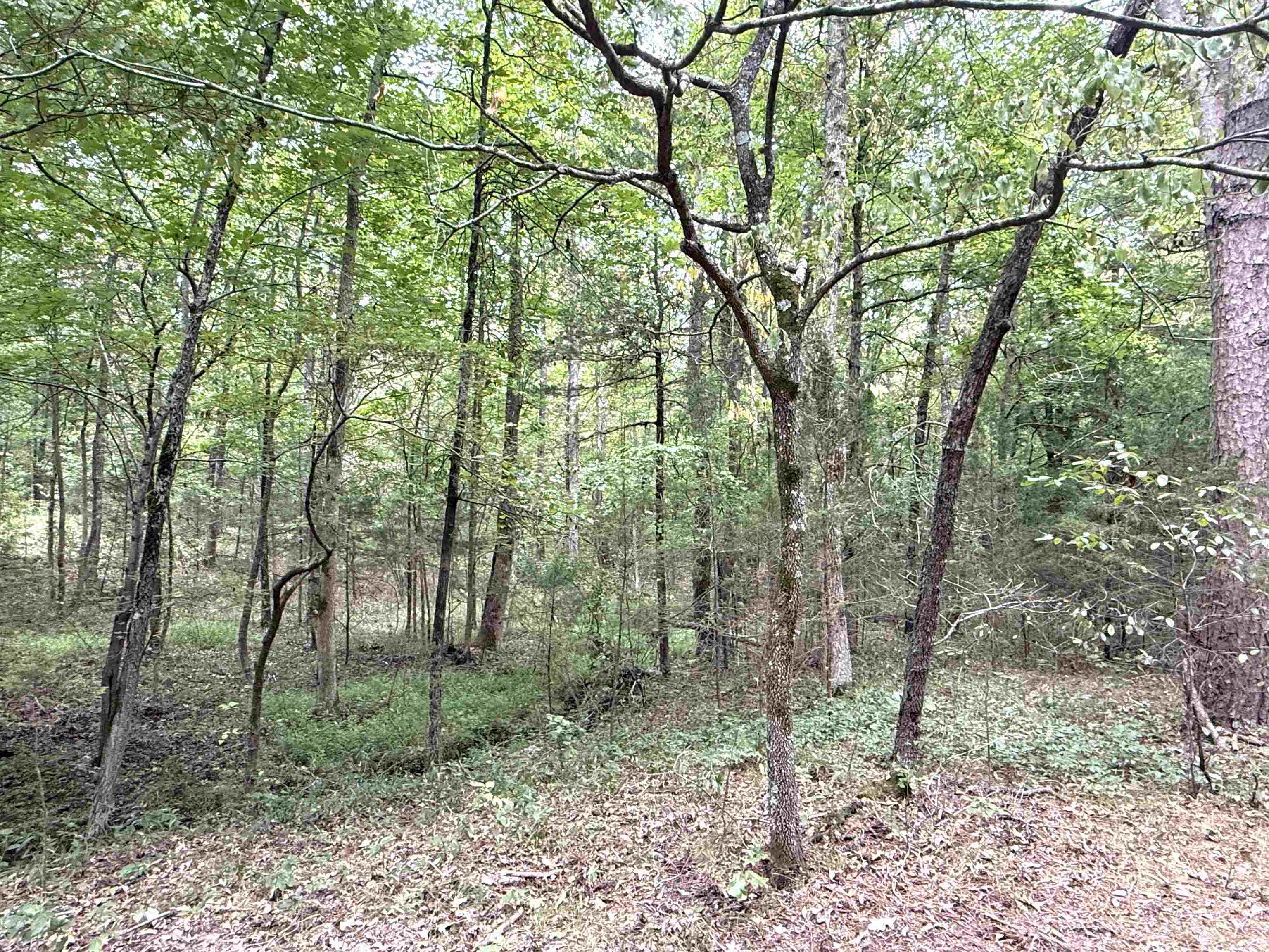 Photo 4 - Residential for sale – 1456  Old Larkin Road   Melbourne, AR