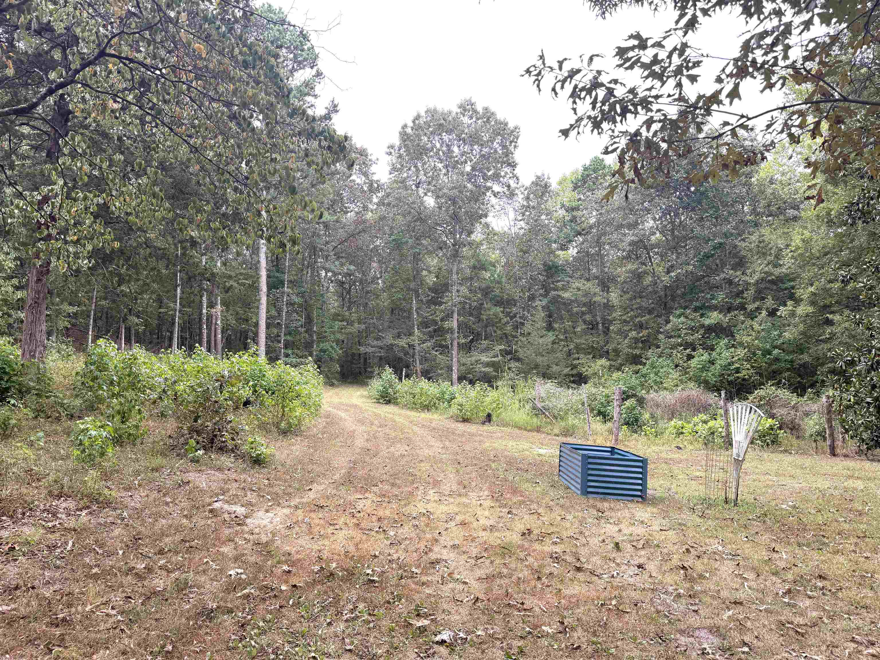 Photo 5 - Residential for sale – 1456  Old Larkin Road   Melbourne, AR