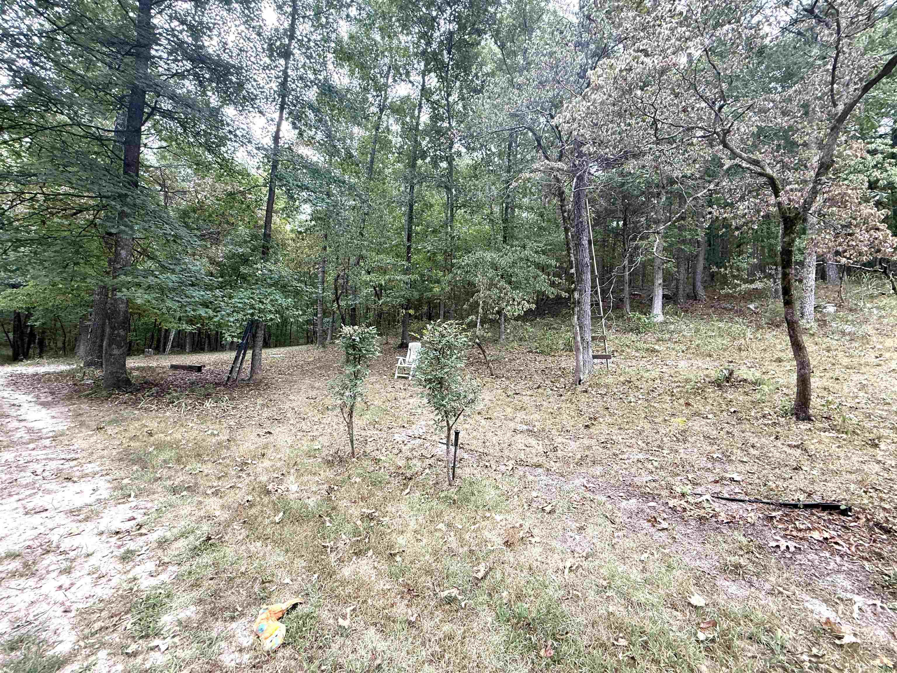 Photo 6 - Residential for sale – 1456  Old Larkin Road   Melbourne, AR