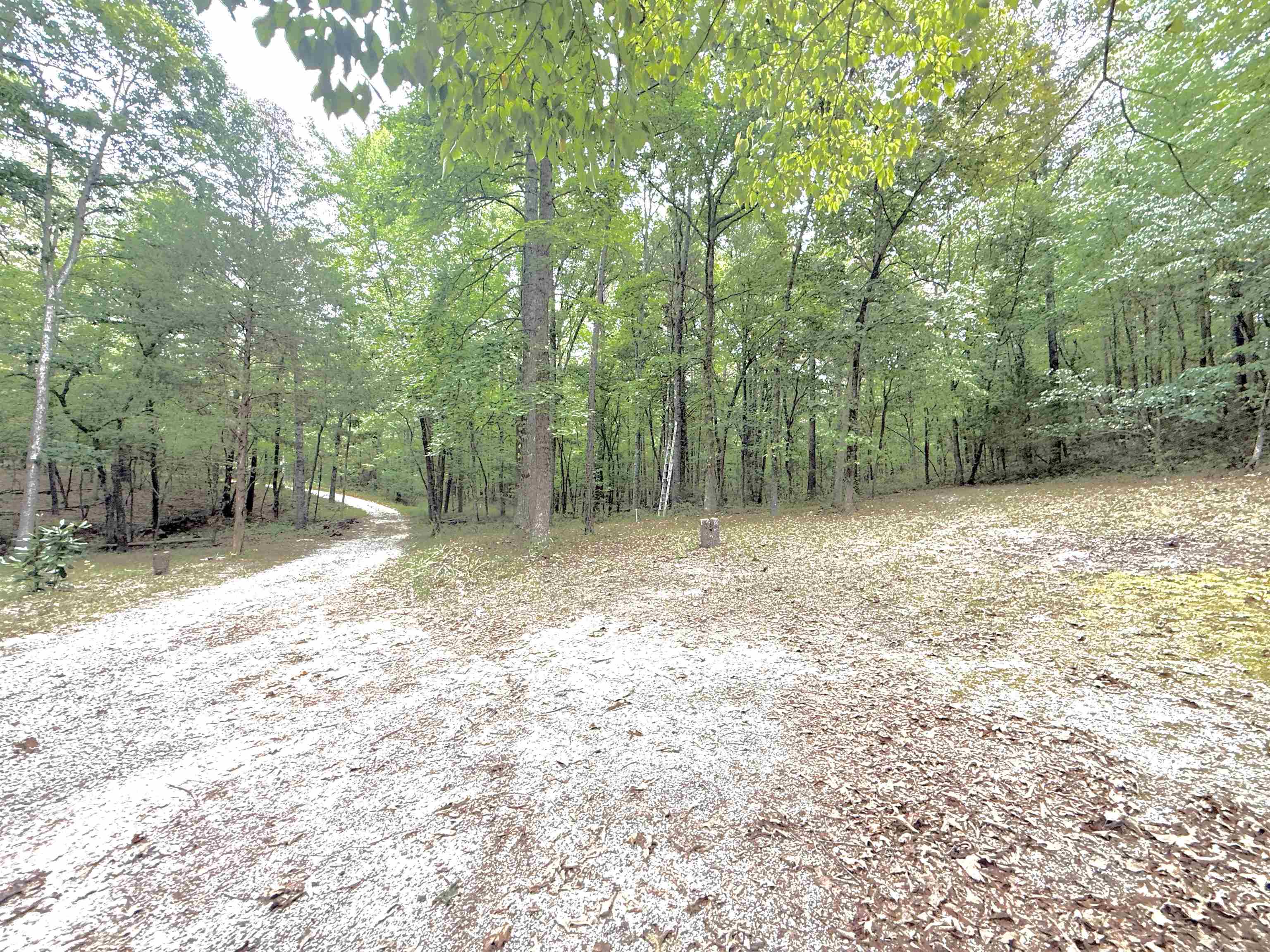Photo 7 - Residential for sale – 1456  Old Larkin Road   Melbourne, AR