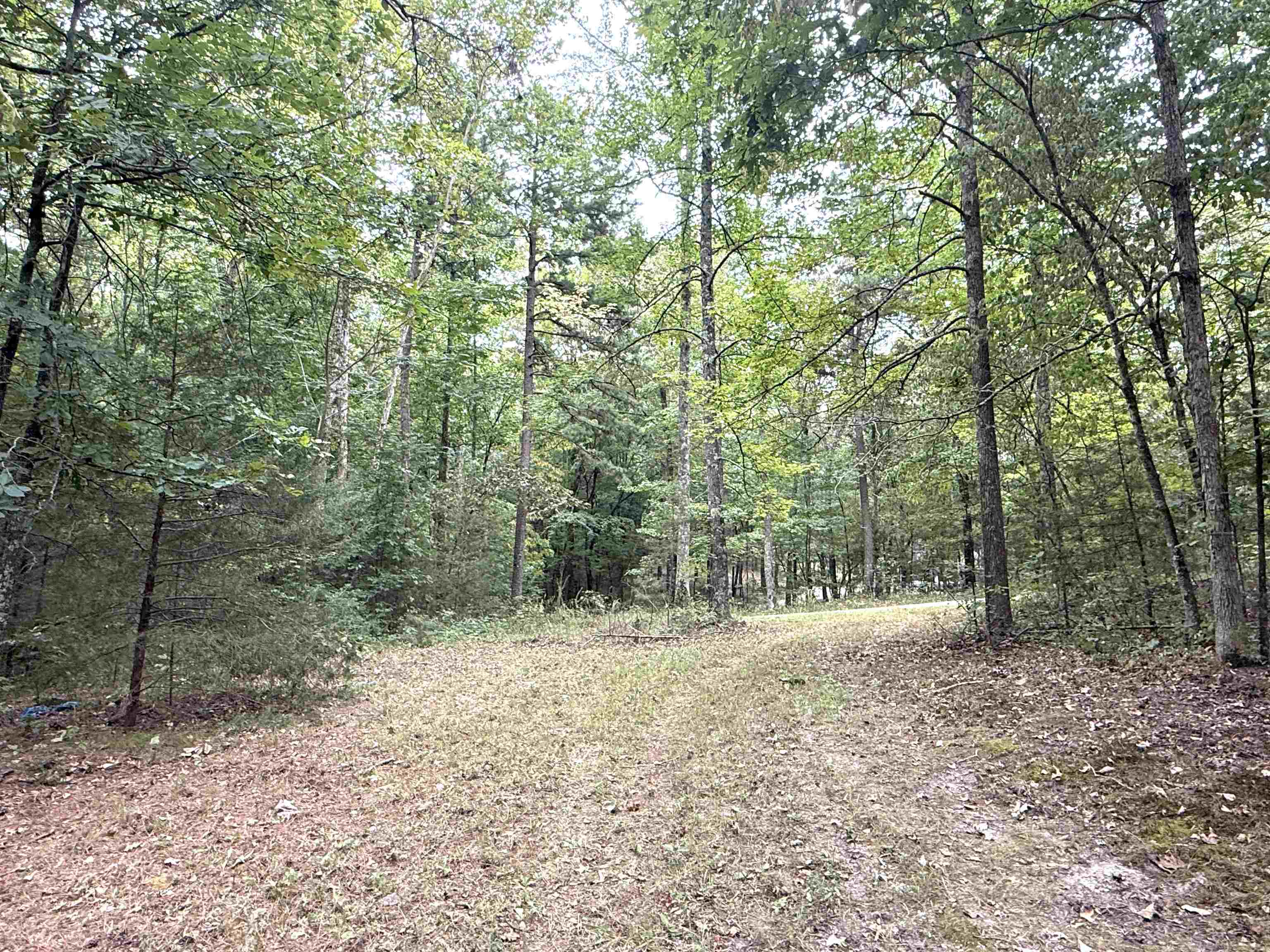Photo 8 - Residential for sale – 1456  Old Larkin Road   Melbourne, AR