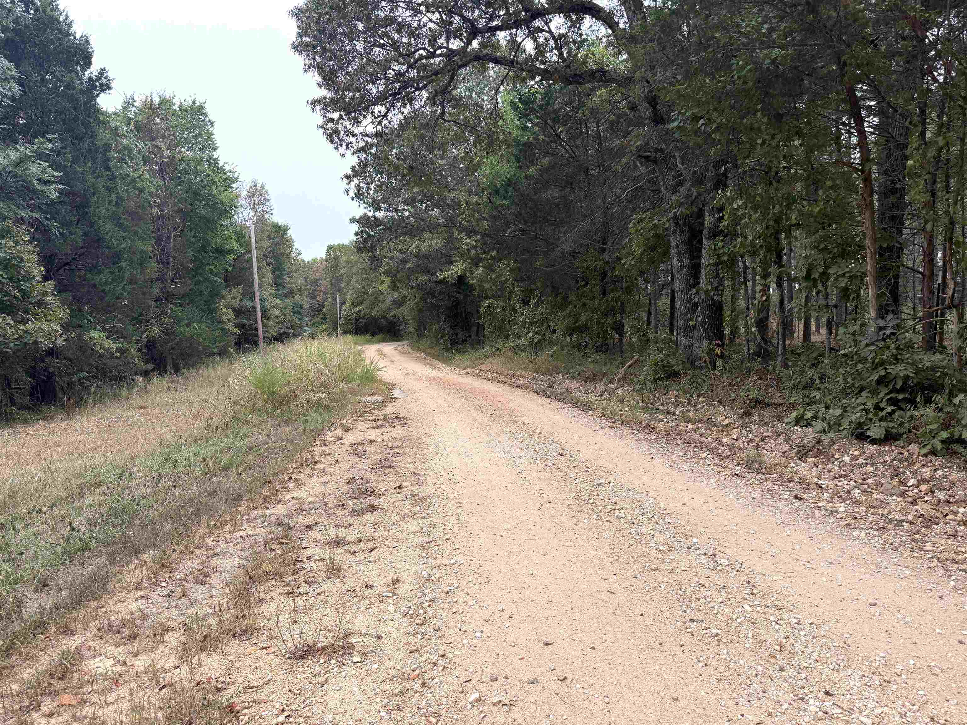 Photo 10 - Residential for sale – 1456  Old Larkin Road   Melbourne, AR