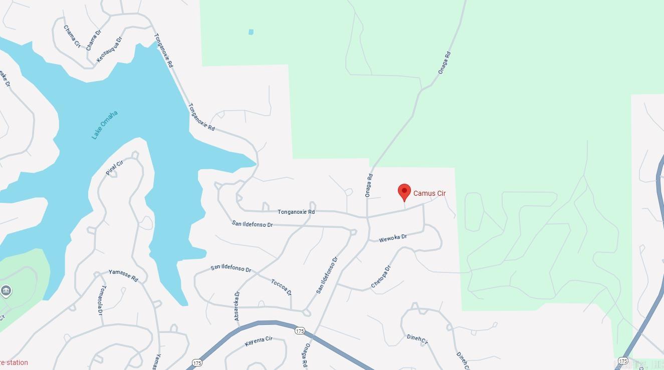 Photo 3 - Vacant Land for sale – Lot 6  Camus   Cherokee Village, AR