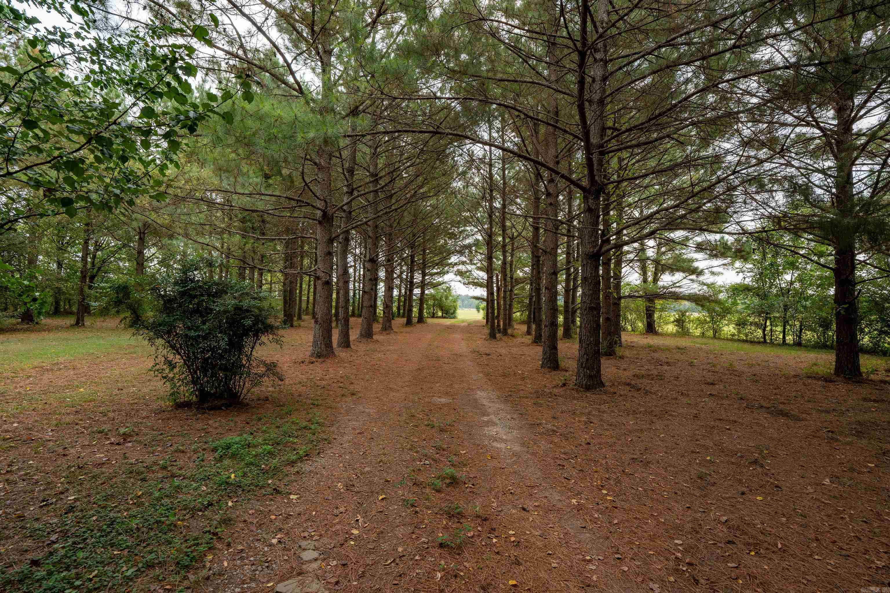 Photo 36 - Residential for sale – 650  Gainer Ferry   Batesville, AR