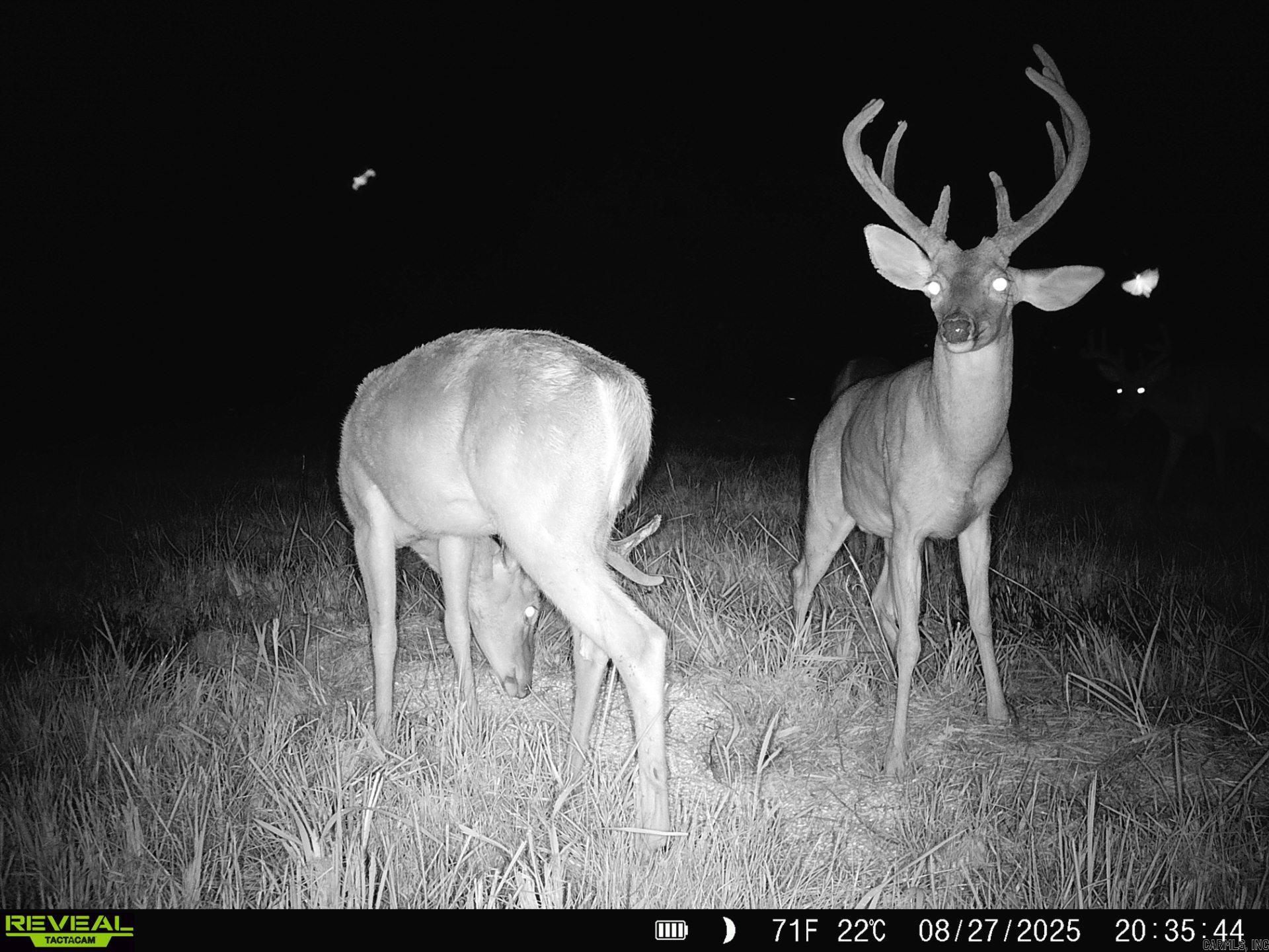 Residential for sale – 1269  Blackland   Oil Trough, AR