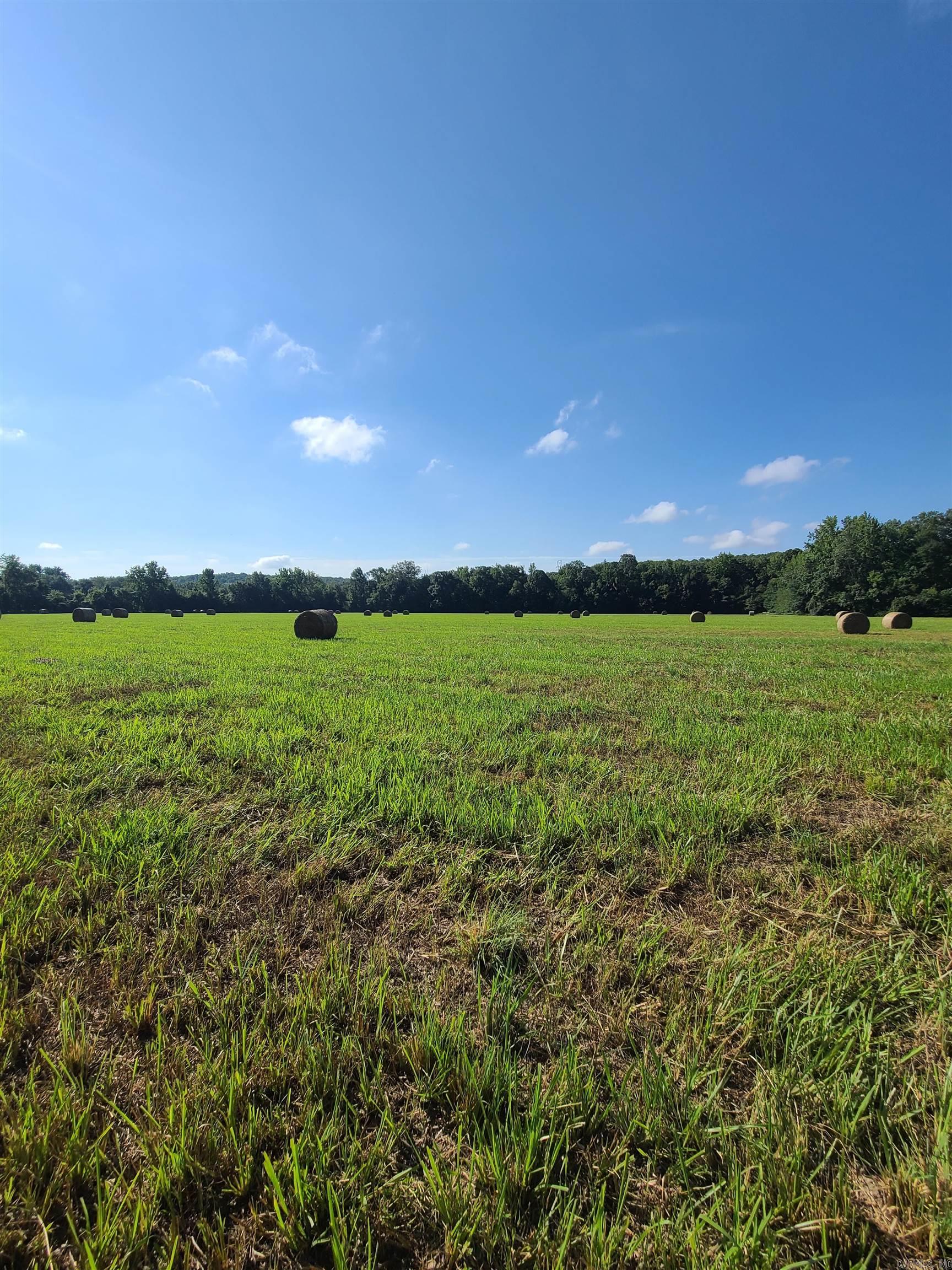 Photo 38 - Residential for sale – 1269  Blackland   Oil Trough, AR