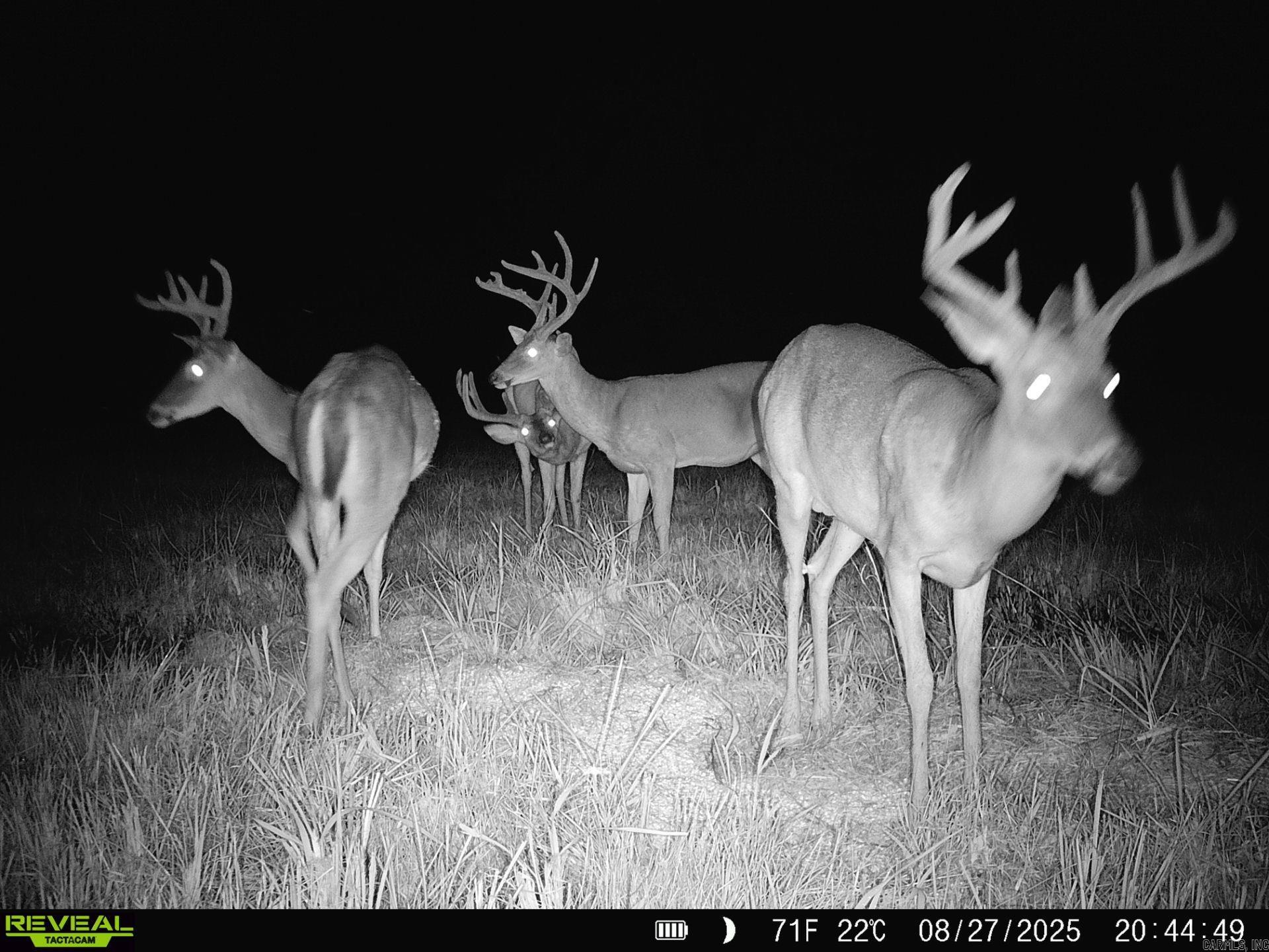 Photo 40 - Residential for sale – 1269  Blackland   Oil Trough, AR