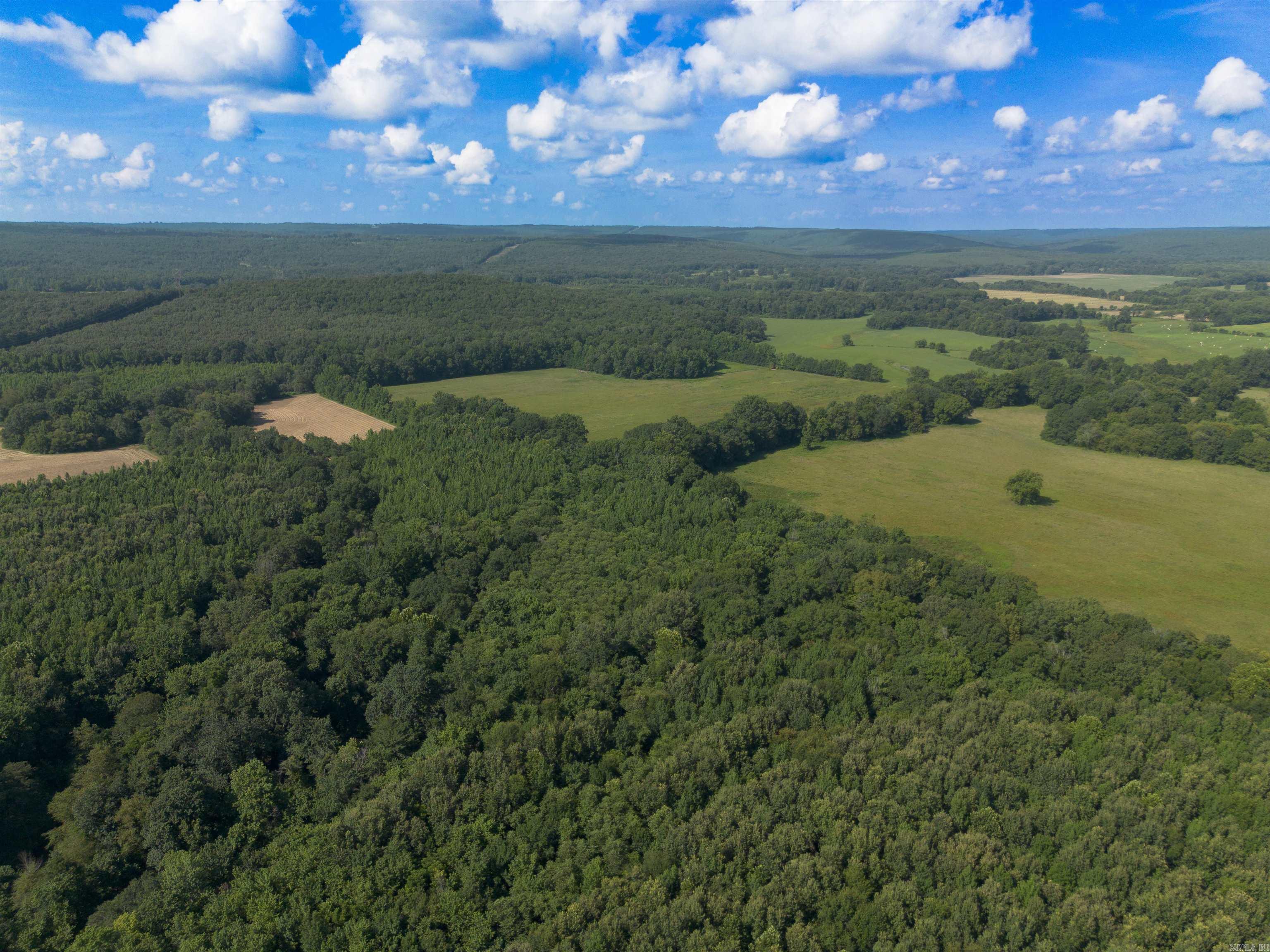 Photo 45 - Residential for sale – 1269  Blackland   Oil Trough, AR