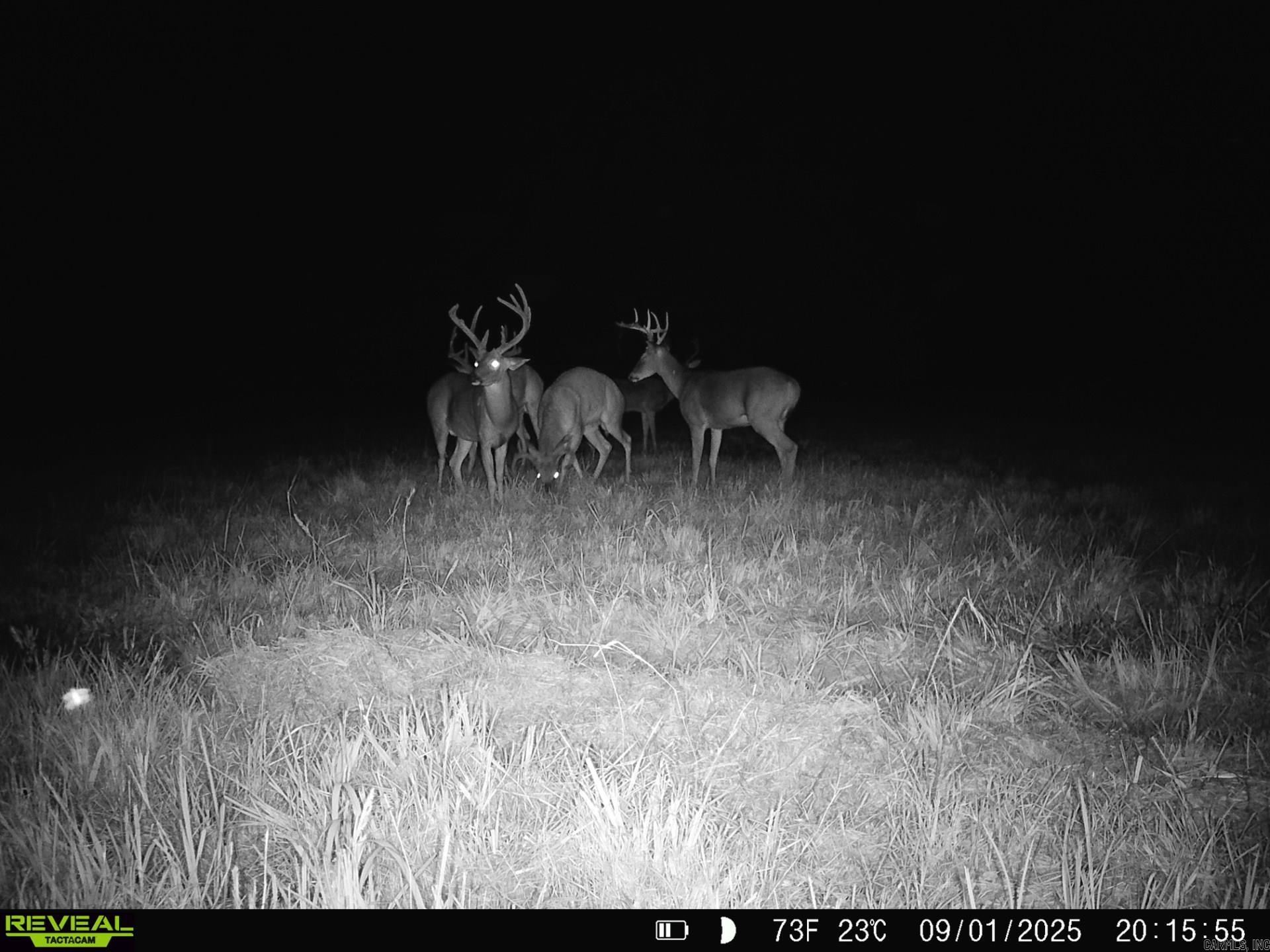 Photo 48 - Residential for sale – 1269  Blackland   Oil Trough, AR