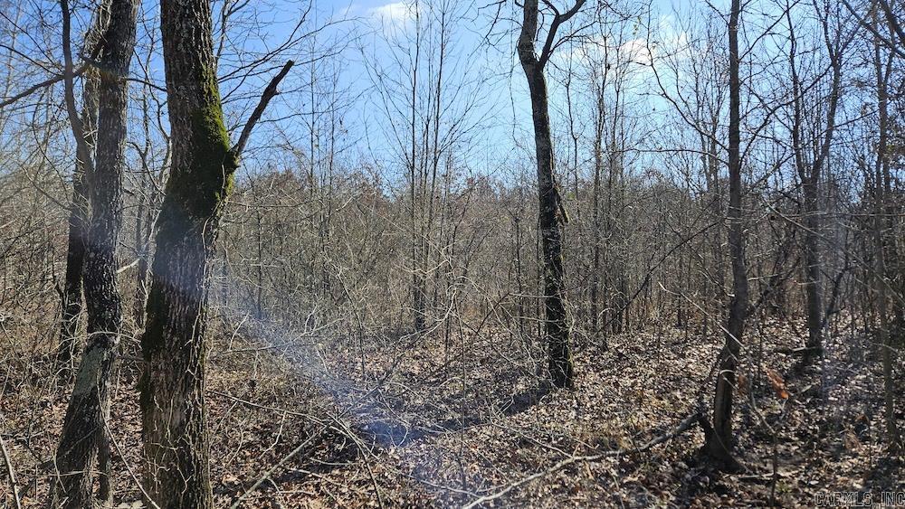 Photo 2 - Vacant Land for sale – Tract DE  Rocky Rd   Bradford, AR