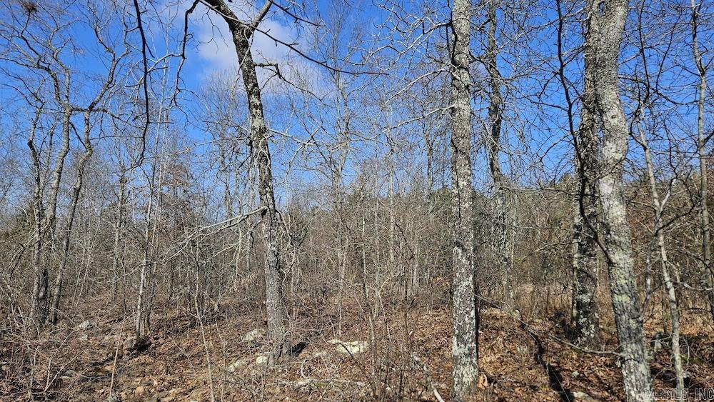 Photo 11 - Vacant Land for sale – Tract DE  Rocky Rd   Bradford, AR