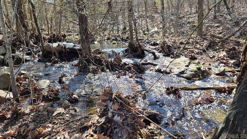 Photo 13 - Vacant Land for sale – Tract DE  Rocky Rd   Bradford, AR