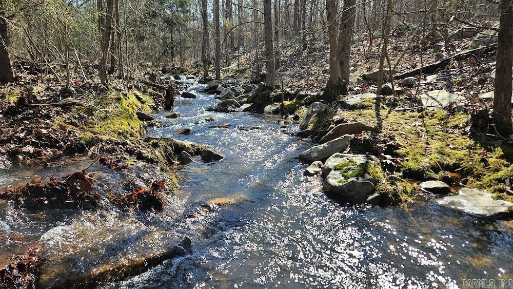 Photo 14 - Vacant Land for sale – Tract DE  Rocky Rd   Bradford, AR