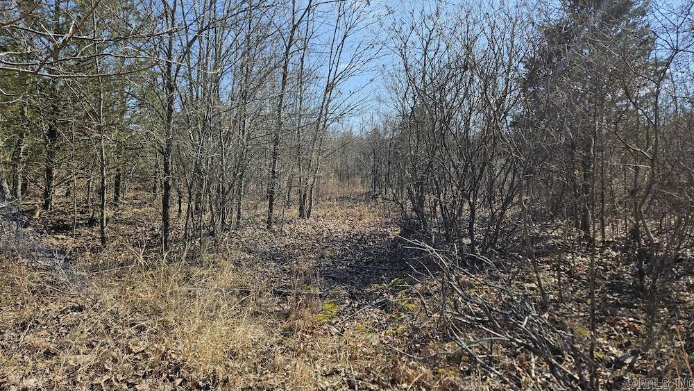 Photo 16 - Vacant Land for sale – Tract DE  Rocky Rd   Bradford, AR