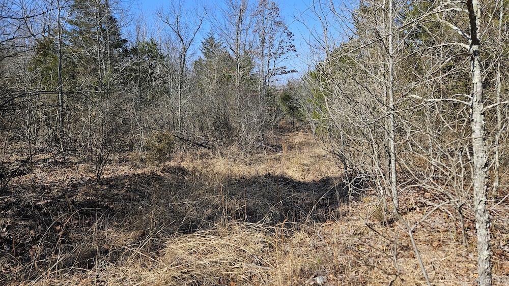 Photo 17 - Vacant Land for sale – Tract DE  Rocky Rd   Bradford, AR