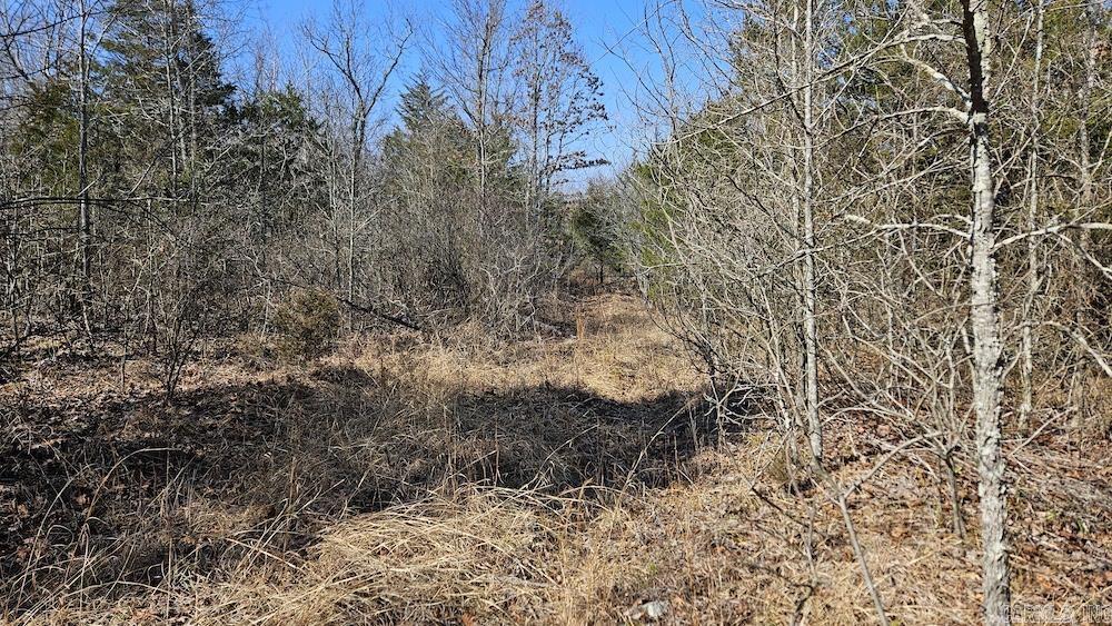 Photo 18 - Vacant Land for sale – Tract DE  Rocky Rd   Bradford, AR