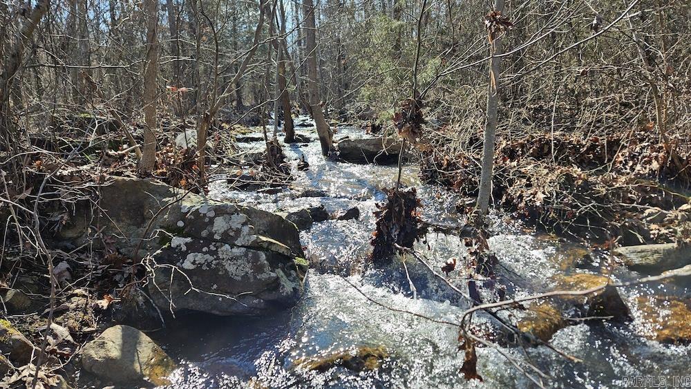 Photo 3 - Vacant Land for sale – Tract DE  Rocky Rd   Bradford, AR