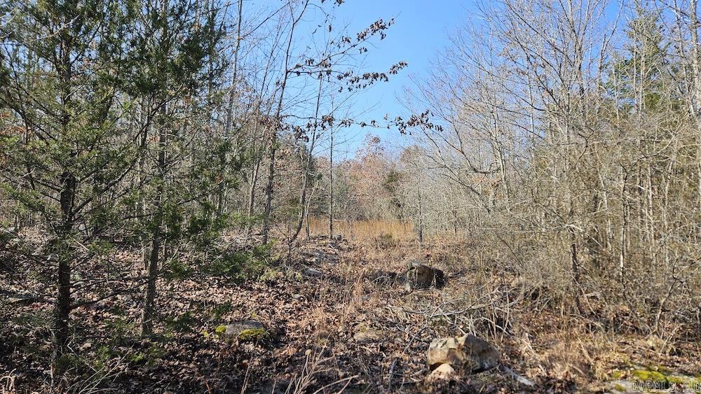 Photo 21 - Vacant Land for sale – Tract DE  Rocky Rd   Bradford, AR