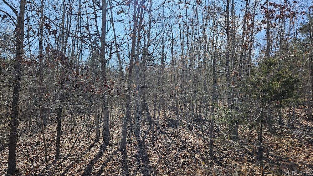 Photo 22 - Vacant Land for sale – Tract DE  Rocky Rd   Bradford, AR