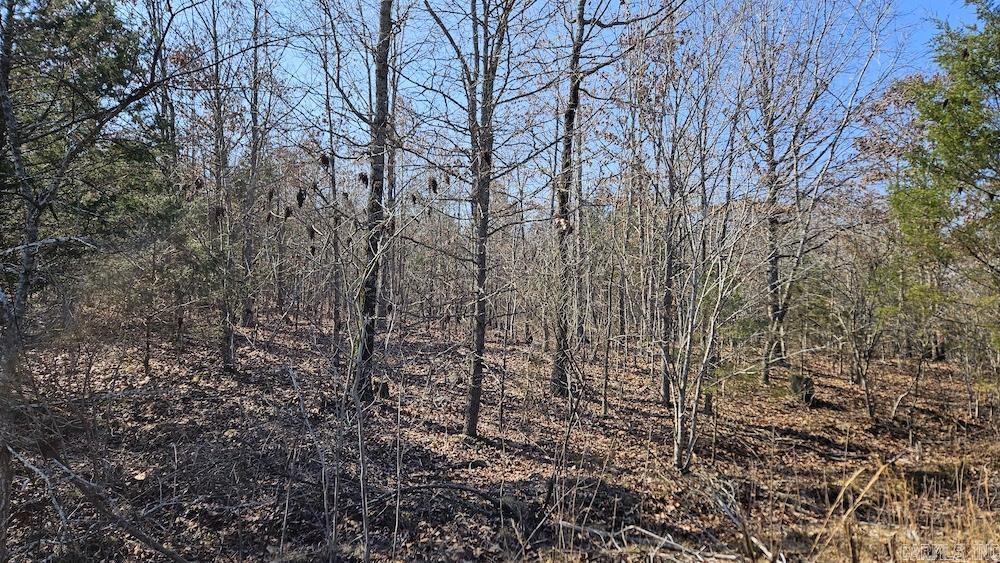 Photo 23 - Vacant Land for sale – Tract DE  Rocky Rd   Bradford, AR