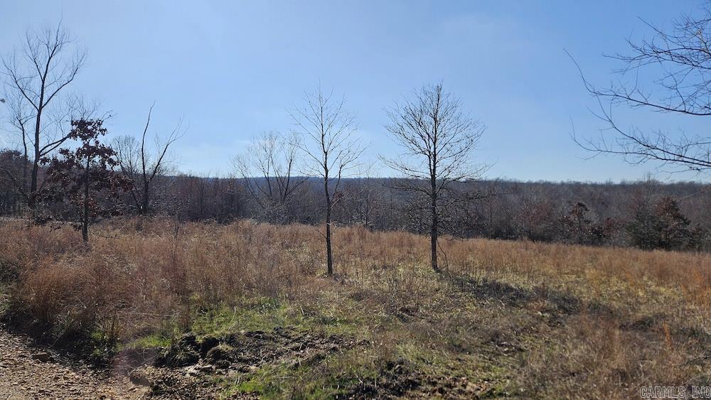Photo 27 - Vacant Land for sale – Tract DE  Rocky Rd   Bradford, AR