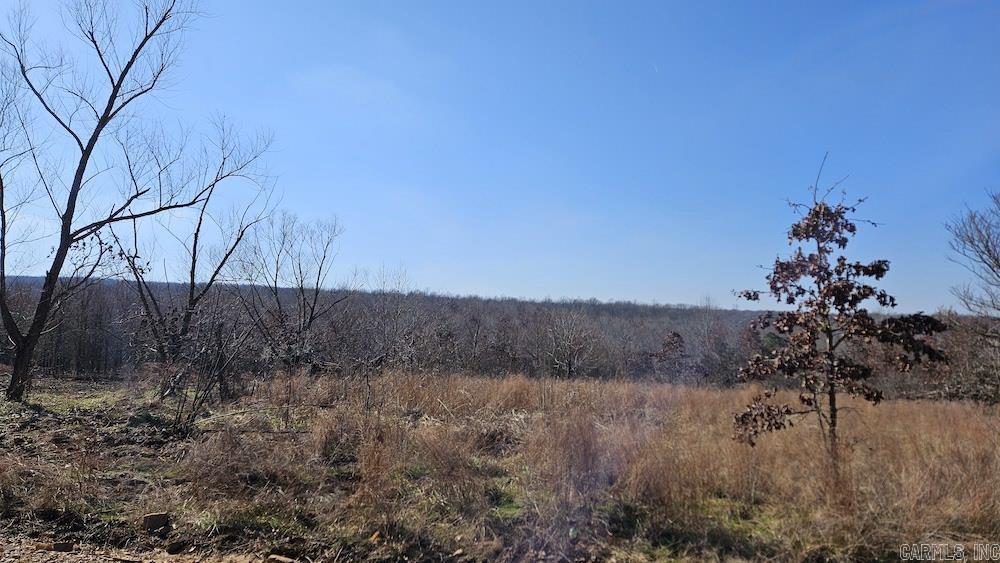 Photo 28 - Vacant Land for sale – Tract DE  Rocky Rd   Bradford, AR