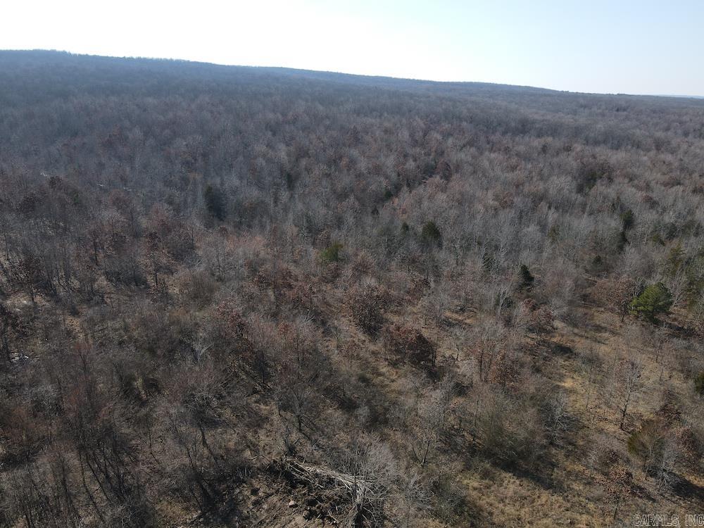 Photo 36 - Vacant Land for sale – Tract DE  Rocky Rd   Bradford, AR