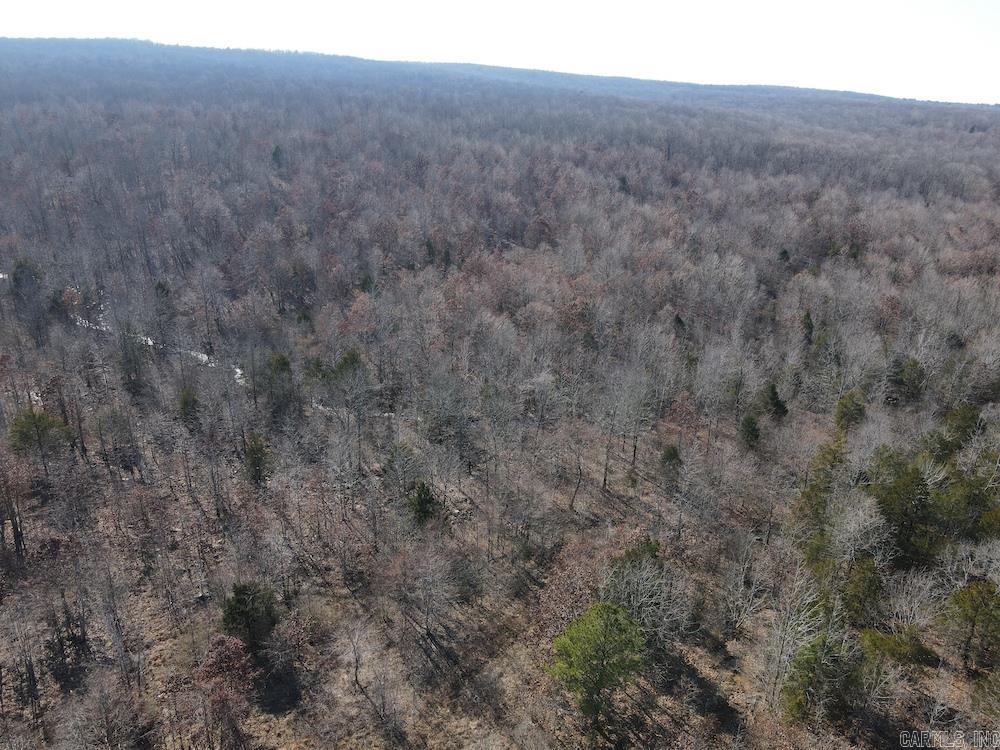 Photo 37 - Vacant Land for sale – Tract DE  Rocky Rd   Bradford, AR