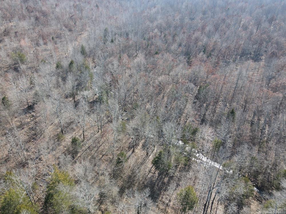 Photo 40 - Vacant Land for sale – Tract DE  Rocky Rd   Bradford, AR