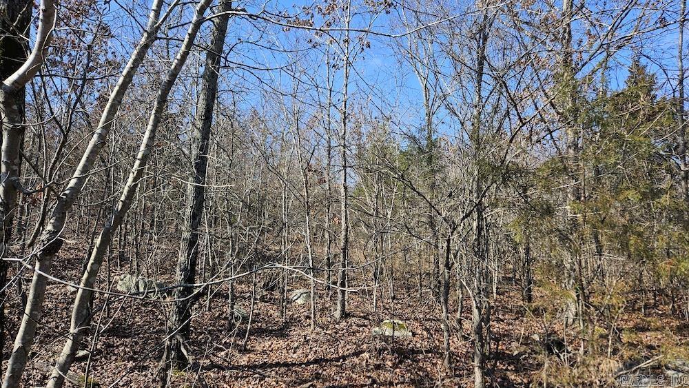 Photo 5 - Vacant Land for sale – Tract DE  Rocky Rd   Bradford, AR