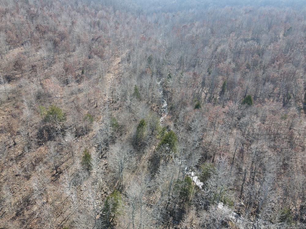 Photo 41 - Vacant Land for sale – Tract DE  Rocky Rd   Bradford, AR