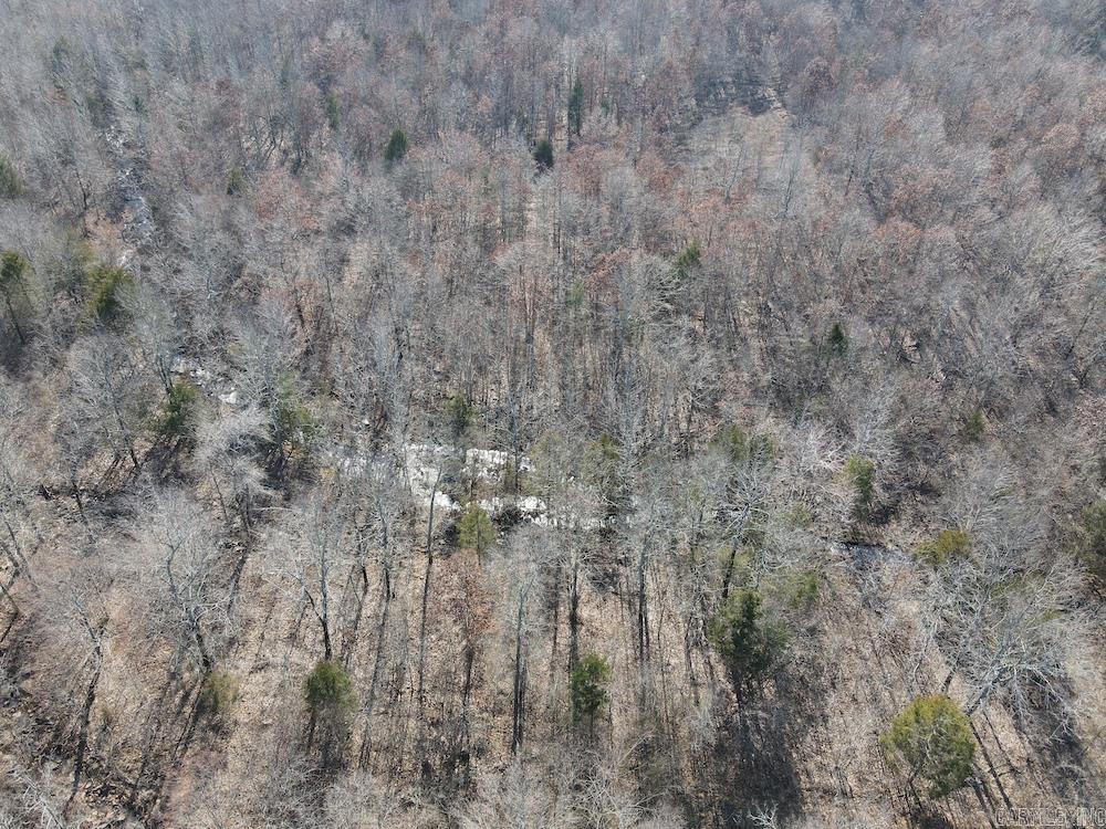 Photo 42 - Vacant Land for sale – Tract DE  Rocky Rd   Bradford, AR