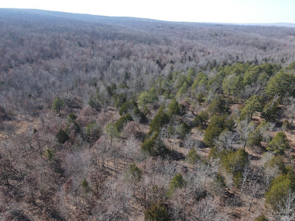 Photo 49 - Vacant Land for sale – Tract DE  Rocky Rd   Bradford, AR