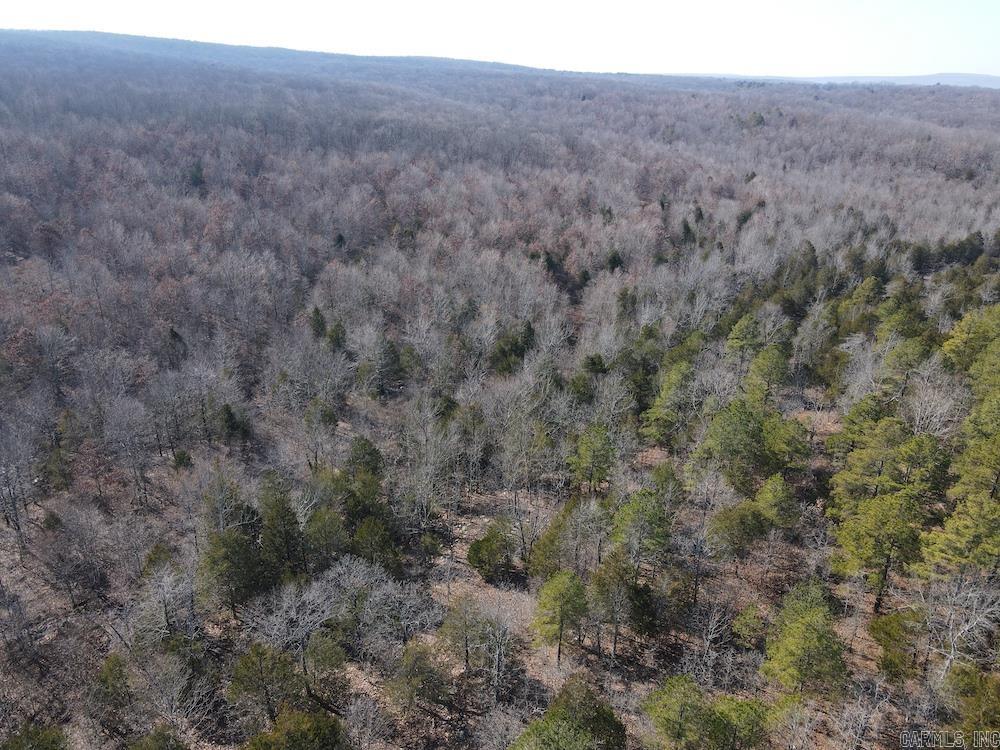 Photo 50 - Vacant Land for sale – Tract DE  Rocky Rd   Bradford, AR