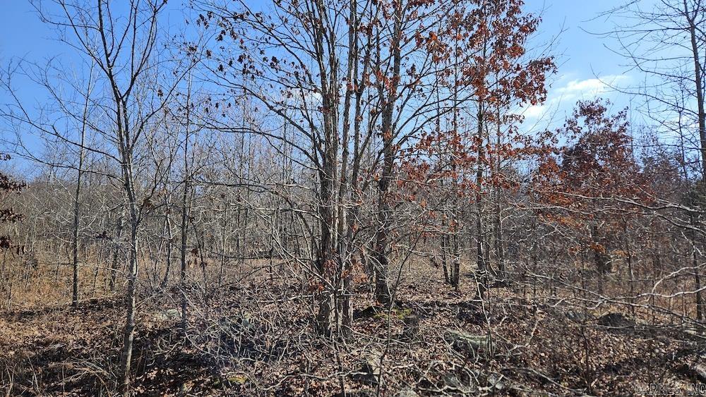 Photo 6 - Vacant Land for sale – Tract DE  Rocky Rd   Bradford, AR