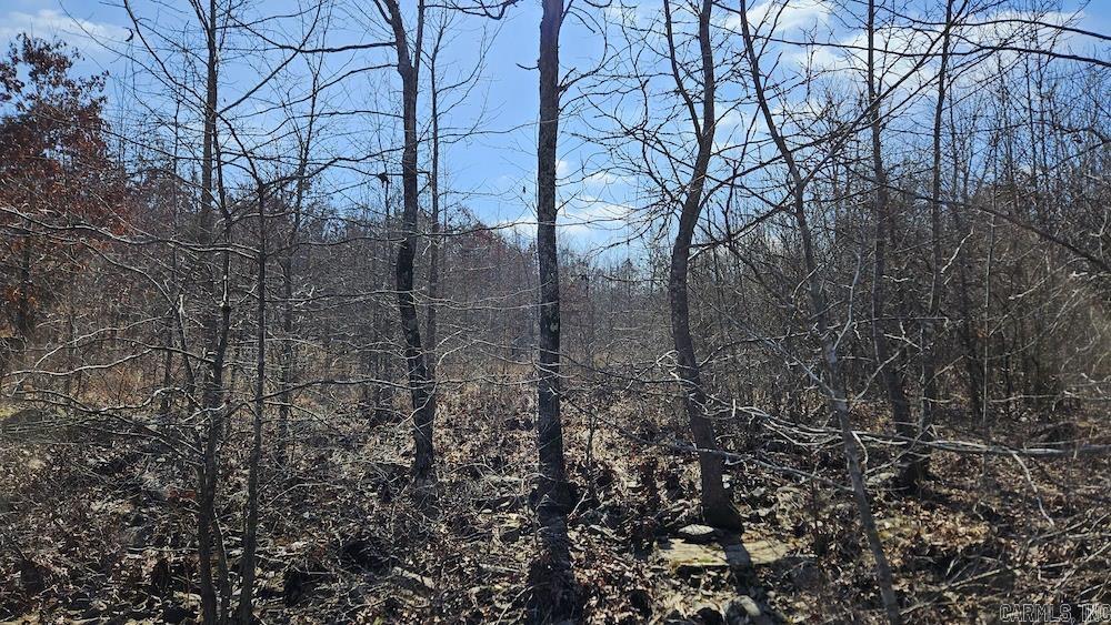 Photo 7 - Vacant Land for sale – Tract DE  Rocky Rd   Bradford, AR