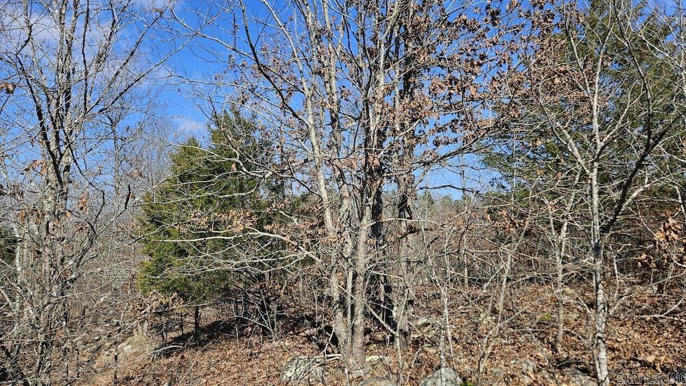 Photo 8 - Vacant Land for sale – Tract DE  Rocky Rd   Bradford, AR