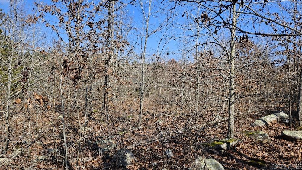 Photo 9 - Vacant Land for sale – Tract DE  Rocky Rd   Bradford, AR